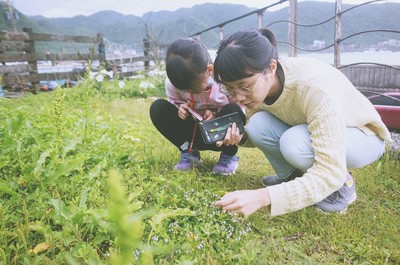 圖片